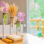 Prázdninový dům Chez Madame Irma *