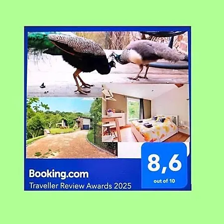 Vakantiehuis Chez Madame Irma Sougné-Remouchamps
